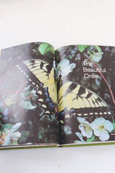 The Bug Book By Childcraft 1981 Annual Hardcover Illustrated Vintage Nature Guide