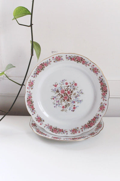 Vintage Remington Fine China Red Sea Floral Dinner Plate Floral Rose Set of 2 Gold Trim