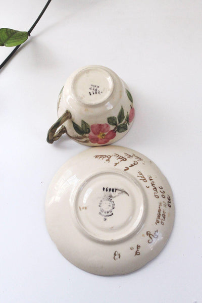Vintage Desert Rose Franciscan Hand-Painted Floral Teacup & Saucer Set USA