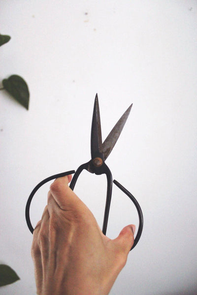 Vintage Traditional Forged Iron Bonsai Scissors Butterfly Shears Pruning Chinese