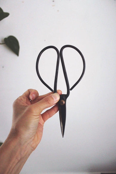 Vintage Traditional Forged Iron Bonsai Scissors Butterfly Shears Pruning Chinese