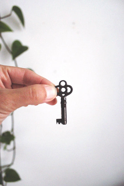 Vintage Antique Skeleton Barrel Passkey Keys Collection Lot Set Brass Iron Steel