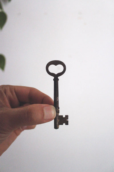 Vintage Antique Skeleton Keys Collection Set Lot Copper Brass Iron Steel Craft Decor