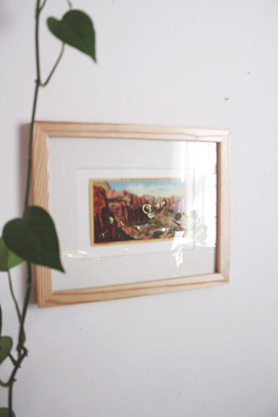 Framed Vintage Linen Postcard Zion National Park Utah Wall Art Decor Ephemera