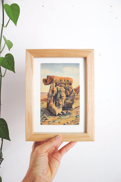 Framed Vintage Postcard Petrified Forest National Park Arizona Wall Art Decor Ephemera