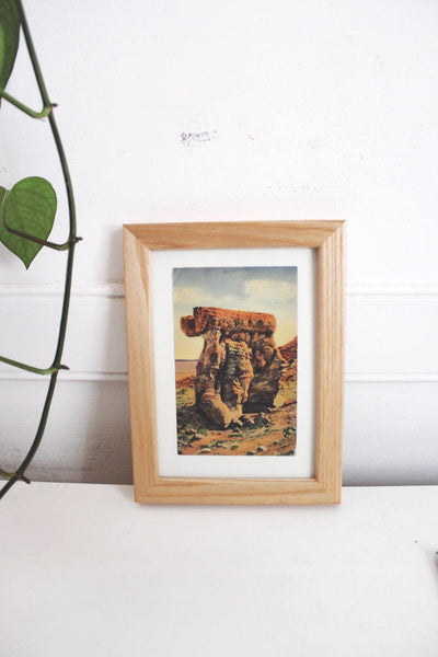 Framed Vintage Postcard Petrified Forest National Park Arizona Wall Art Decor Ephemera