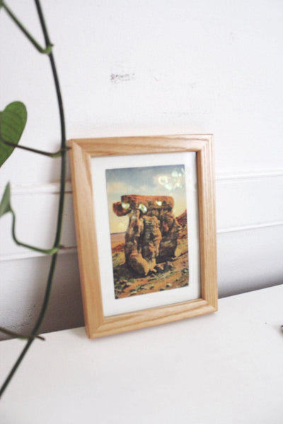 Framed Vintage Postcard Petrified Forest National Park Arizona Wall Art Decor Ephemera