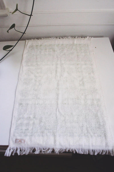 Vintage 70s Cannon Terrycloth Kitchen Dish Hand Towel Retro Mod Apple Gingham
