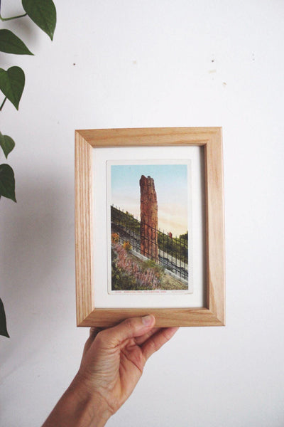 Framed Vintage Yellowstone Park Postcard Petrified Tree Wood Frame Wall Art Decor 5x7
