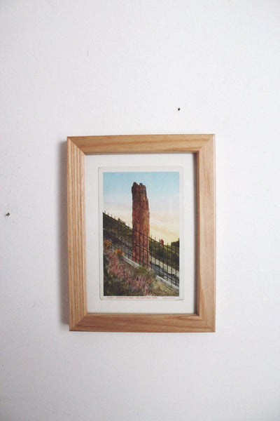 Framed Vintage Yellowstone Park Postcard Petrified Tree Wood Frame Wall Art Decor 5x7