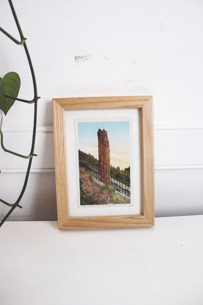 Framed Vintage Yellowstone Park Postcard Petrified Tree Wood Frame Wall Art Decor 5x7