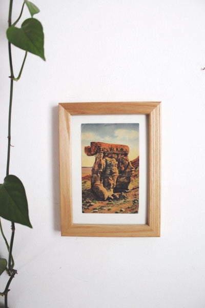 Framed Vintage Postcard Petrified Forest National Park Arizona Wall Art Decor Ephemera