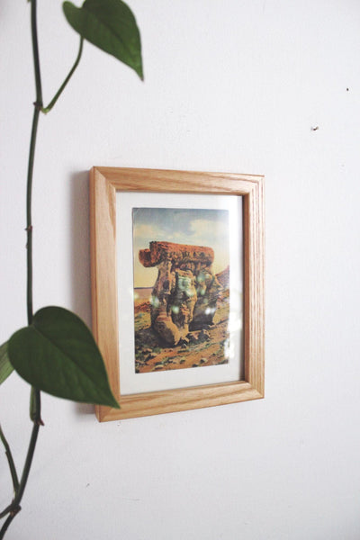 Framed Vintage Postcard Petrified Forest National Park Arizona Wall Art Decor Ephemera