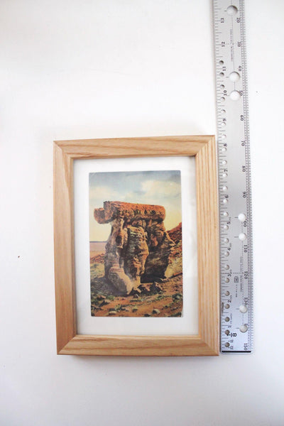 Framed Vintage Postcard Petrified Forest National Park Arizona Wall Art Decor Ephemera