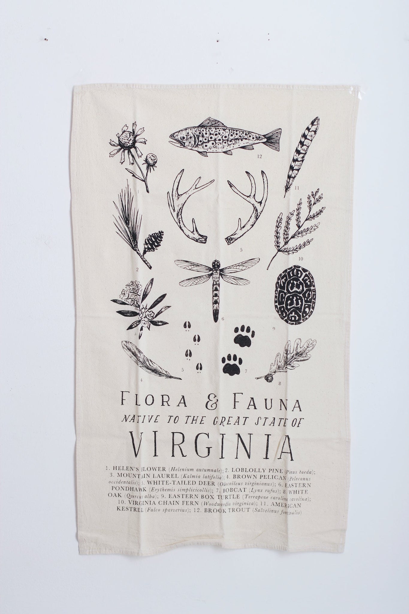 Virginia Field Guide Tea Towel
