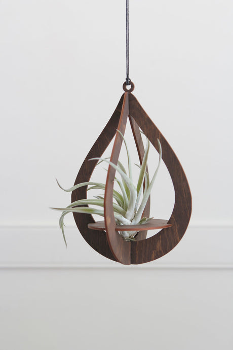 Air Plant Hanger Teardrop Walnut Wood