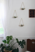 Load image into Gallery viewer, Air Plant Wall Holder Curved Shelf 