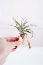 Load image into Gallery viewer, Tripod Air Plant Holder 