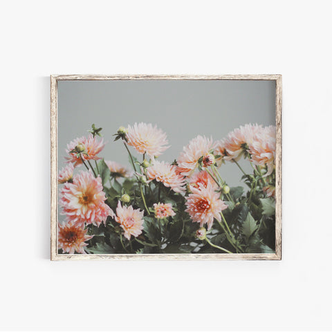 Peach Dahlias Photography Print | Fine Art Photography | Photo Print | Wall Art | Flower Art | Floral Photography | 8x10 | 11x14