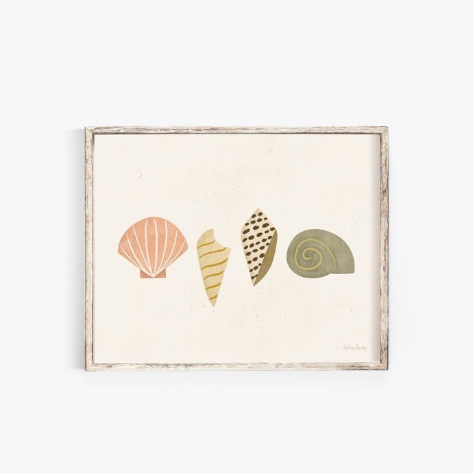 Beach Shells Wall Art Print