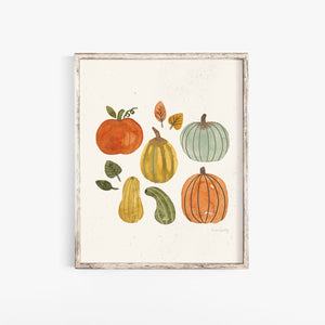 Pumpkins + Gourds Watercolor Wall Art Print | Watercolor Art Print | Minimalist Art | Nature Wall Art | Plant Art | 5x7 8x10 11x14