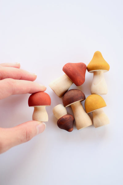 Hand Painted Wooden Mushrooms | Mushroom Decor | Minimalist Decor | Nature Decor | Cottagecore Decor| DIY Kit | Craft Kit