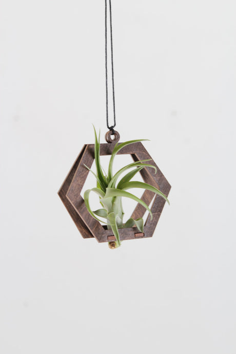 Mini Air Plant Hanger Hexagon Walnut Wood