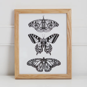 Three Butterflies Wall Art Print