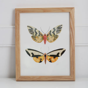 Two Moths Wall Art Print